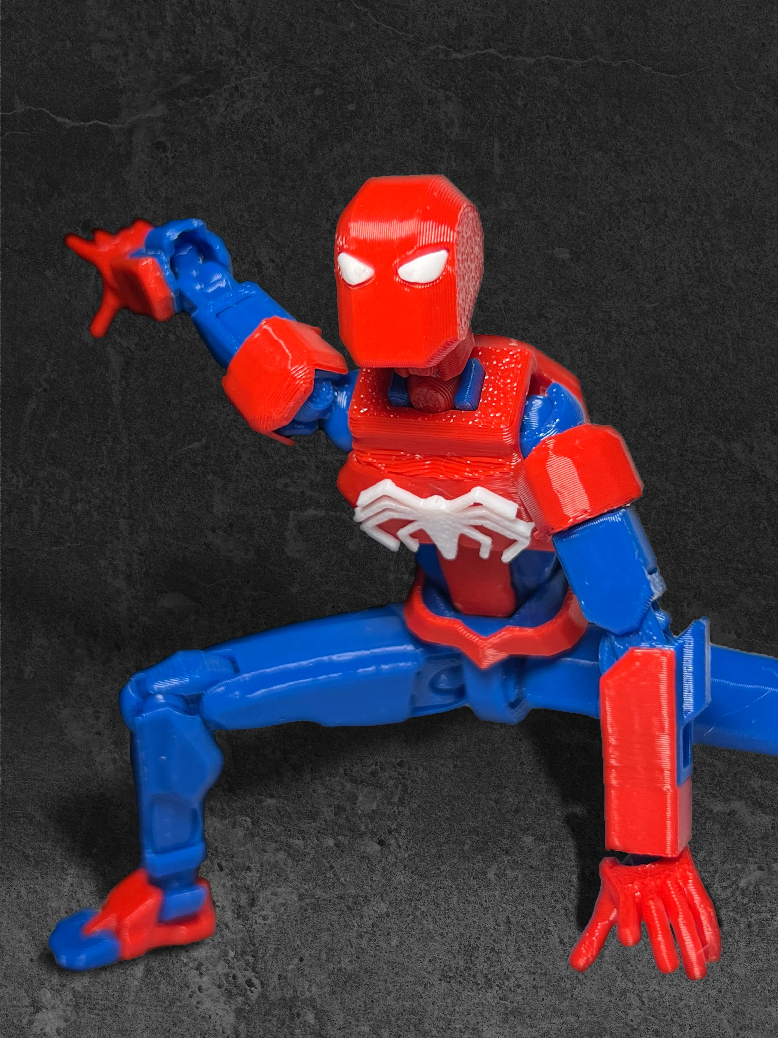 Arachnid T13 - Image 5
